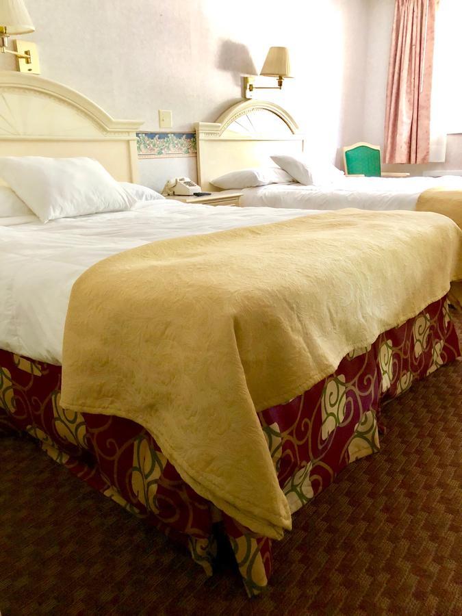Lyn Aire Motel - เลคจอร์จ ภายนอก รูปภาพ